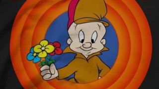 Без да се уповаваме на статистика сме сигурни че страшно много