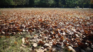 Есента настъпва с топло време и без валежи