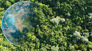 Днес повече от всякога говорим за климатичните промени и вредата която