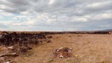  Незаконно хранилище изхвърля остарели гуми в предпазен биорезерват в Бургас 