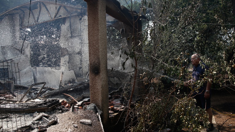 Изображение 544158