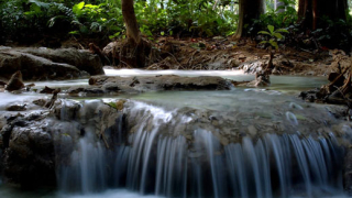 Разглеждат 27 защитени зони по НАТУРА 2000