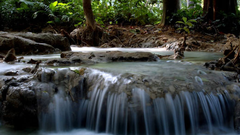 Изображение 24358