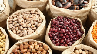 Очаква се износът на храни от Турция за първи път