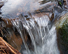 Световен ден на водата