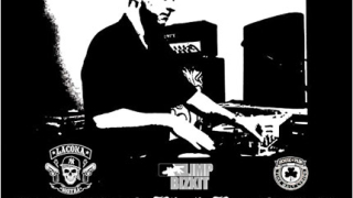 Ясни са подгряващите на DJ Lethal