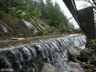 Американка си купи къща за 1.75 долара в Мичиган