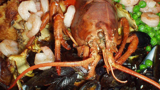 Как да се преборим с омара (видео)