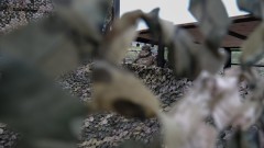 Кремъл съзнателно тренира войници-камикадзета