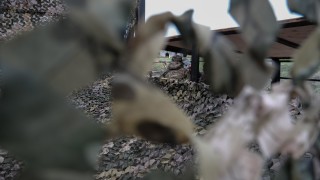 Кремъл съзнателно тренира войници-камикадзета