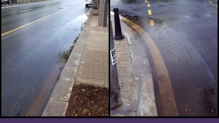 Екипи работят по сигнали за завирявания, паднали дървета и наводнен подлез в София