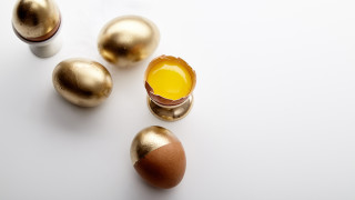Упорството да се заколи кокошката, която снася златни яйца