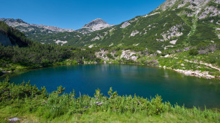 Близо 50 от българските потребители изразяват своето притеснение от растящите