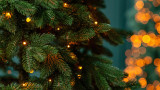  Магията на Коледа, която трансформира едно непретенциозно дръвче във движимост за хиляди долари 