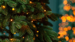 Магията на Коледа, която превърна едно скромно дръвче във вещ за хиляди долари