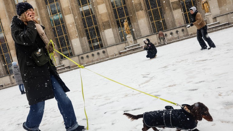 Изображение 746858