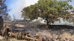 Продължава да гори край село Сенокос в Пирин