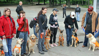 Представиха 20 кучета-водачи в Борисовата градина