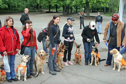 Представиха 20 кучета-водачи в Борисовата градина 
