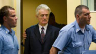 Караджич бойкотира процеса в Хага?