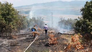 Пожарът край Черна могила е овладян