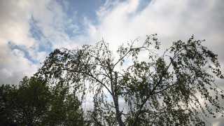 Днес в Западна България ще се задържи предимно облачно и