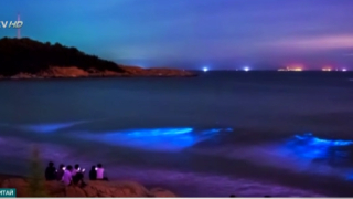 Китайско море проплака със сини сълзи