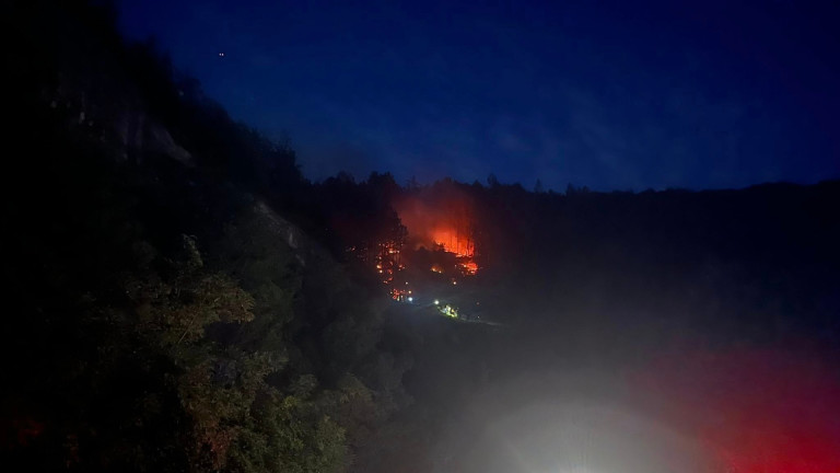 Изображение 727758