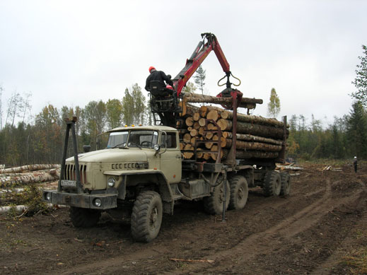 Одит на заменките с гори от Държавния фонд, иска Плугчиева