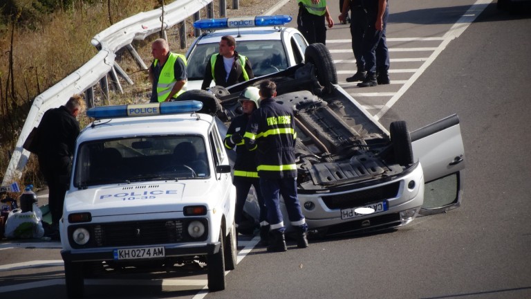 Изображение 377958