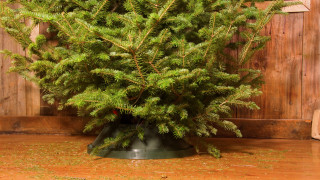 Коледните празници отминаха и една от най неприятните но наложителни задачи