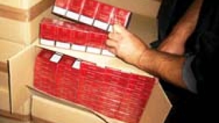 1 милион къса цигари в тоалетни чинии хванаха на Дунав мост