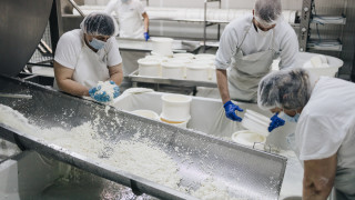 Топ 10 на производителите на мляко, сирене и кашкавал в България по брой служители