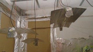 Полицаи от Севлиево иззеха близо килограм марихуана от частен дом