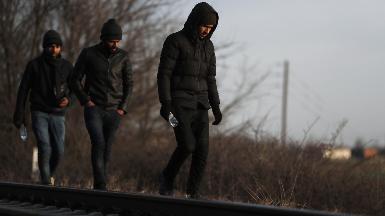 Изображение 469958