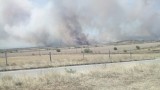 Пожар бушува в 300 дка гори в новозагорски села