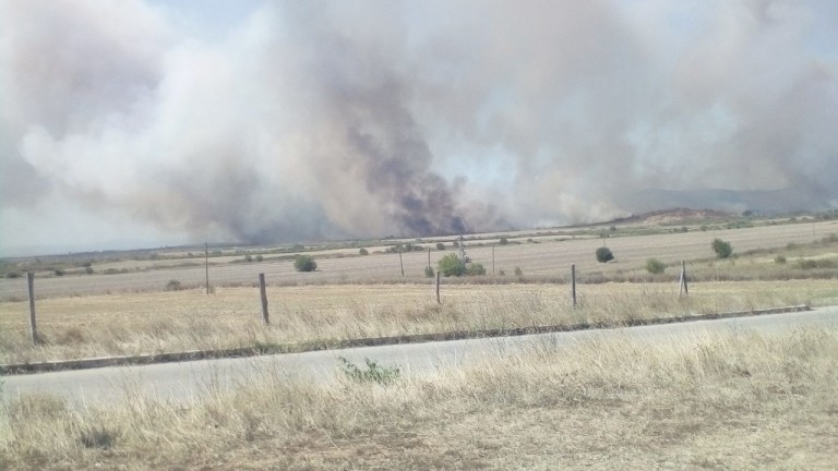 Пожар бушува в 300 дка гори в новозагорски села