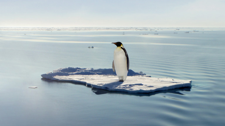 Хиляди малки на императорски пингвини са удавени, след като ледът,