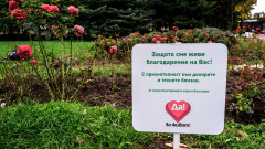 Засадиха 17 рози в памет на донорите