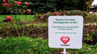 МЗ открива Трансплантационен център във Варна, обучават лекари