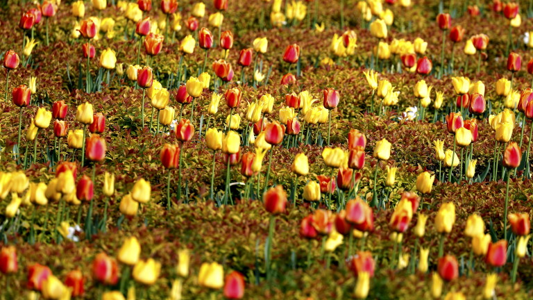 Днес ще бъде предимно слънчево