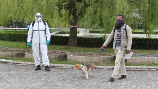 Само за няколко часа отрова разпръсната на улица в София