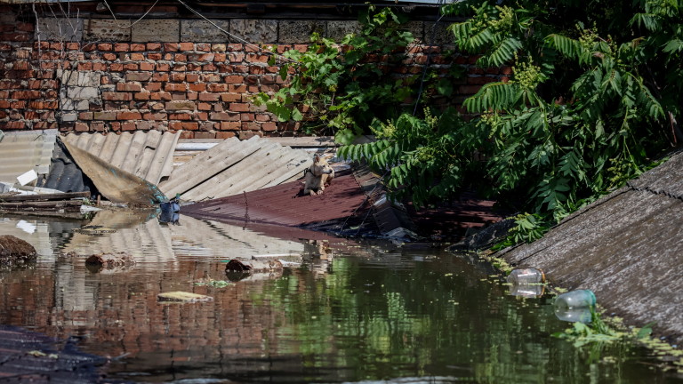 Украйна ще загуби 10% от реколтата от пшеница заради взрива на ВЕЦ "Каховка"