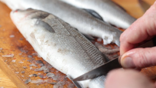 Жители на Враца са с хранително натравяне от риба съобщи