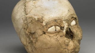 Пресъздадоха лицето на човек, живял преди 9500 години