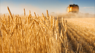 Българският технологичен стартъп Насекомо зае място сред най добрите 50 иновативни