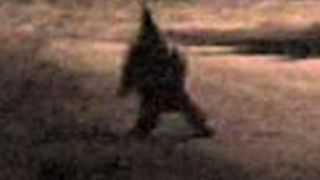 Зловещ гном върлува из Аржентина и плаши местните (видео)