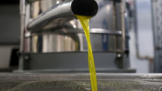 В Испания най големият производител на зехтин в света супермаркетите заключват