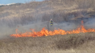 Пожар избухна в сухи треви и стърнище в Пловдивско съобщава