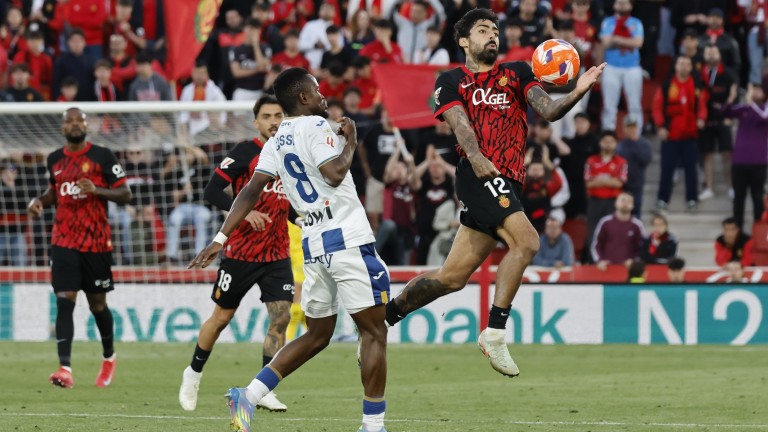 Изображение 713159